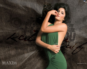 Картинка бренды maxim