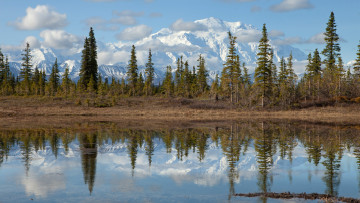 Картинка denali national park mount mckinley alaska природа реки озера озеро ели облака деревья пейзаж аляска горы