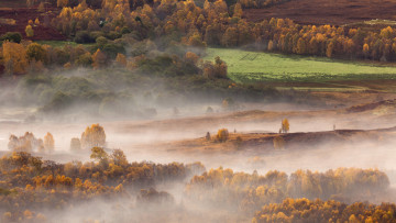 Картинка природа пейзажи туман утро