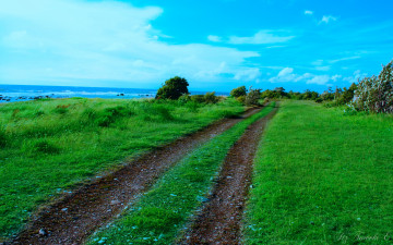 Картинка природа дороги трава