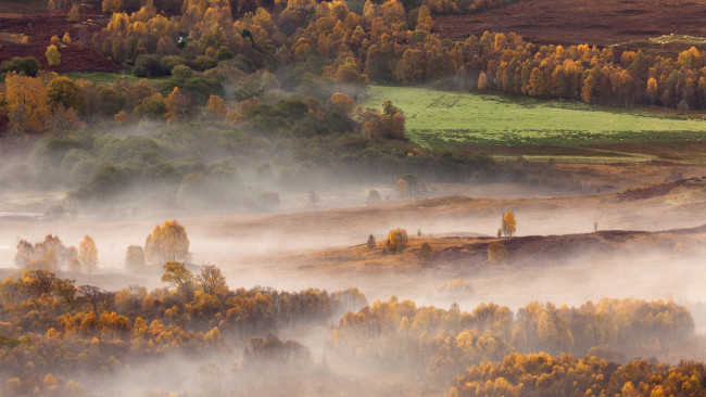 Обои картинки фото природа, пейзажи, туман, утро