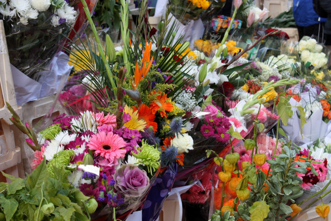 Обои картинки фото цветы, разные, вместе, лилии, физалис, хризантемы, герберы