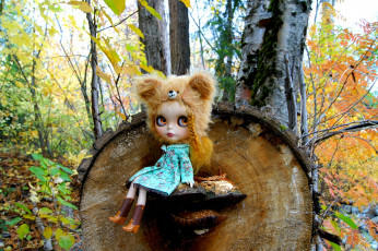 Картинка разное игрушки кукла дерево шапка