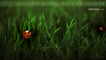 Картинка календари 3д графика трава божья коровка