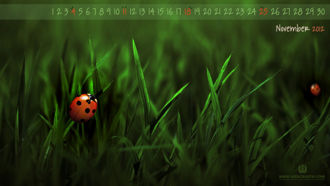 Обои картинки фото календари, 3д, графика, трава, божья, коровка