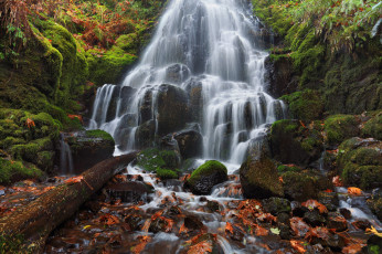 Картинка fairy falls columbia river gorge oregon природа водопады камни каскад орегон осень листья мох река колумбия wahkeena