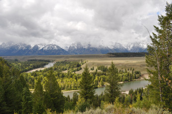 Картинка grand teton national park wyoming природа пейзажи лес река