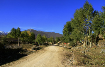 Картинка природа дороги деревья