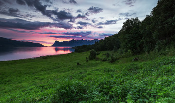 Картинка природа реки озера лес горы река трава