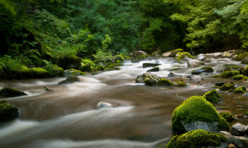 Картинка природа реки озера лес река камни мох