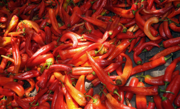 Картинка еда перец стручки