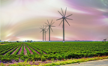 Картинка природа поля поле посевы ветряки