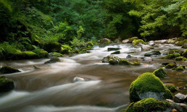 Обои картинки фото природа, реки, озера, лес, река, камни, мох