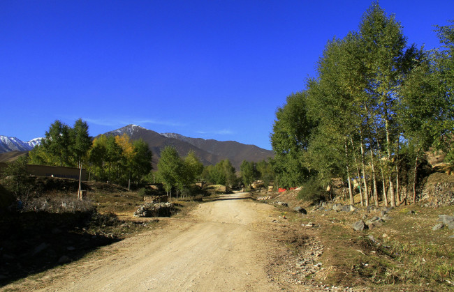 Обои картинки фото природа, дороги, деревья