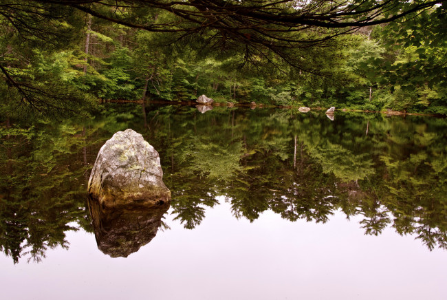 Обои картинки фото природа, реки, озера, лес, озеро