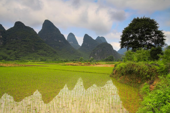 Картинка природа поля зелень пейзаж небо горы igor galarza озеро облака туман растения утро