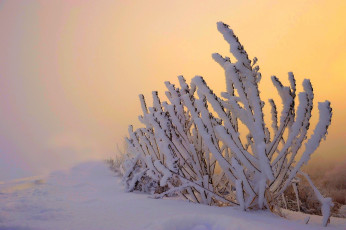 Картинка природа зима снег небо пейзаж nature winter sky white beautiful cool nice snow sunset