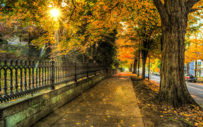 Обои картинки фото природа, парк, nature, architecture, house, autumn, leaves, trees, street, city, осень, листья, деревья, улица, город, архитектура, дом