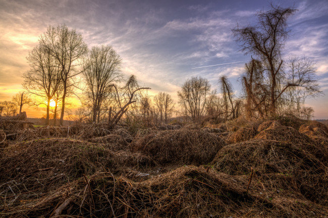 Обои картинки фото природа, восходы, закаты, солнце, деревья, поле