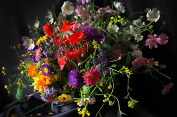 Картинка цветы букеты +композиции букет мак астры календула космея