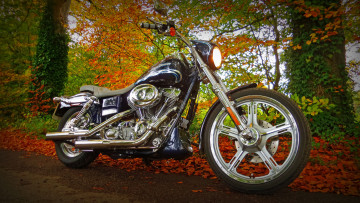 Картинка harley мотоциклы harley-davidson байк