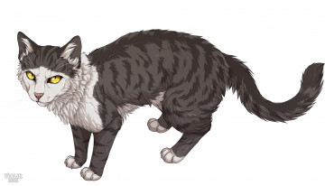 Картинка рисованное животные +коты фон взгляд кот