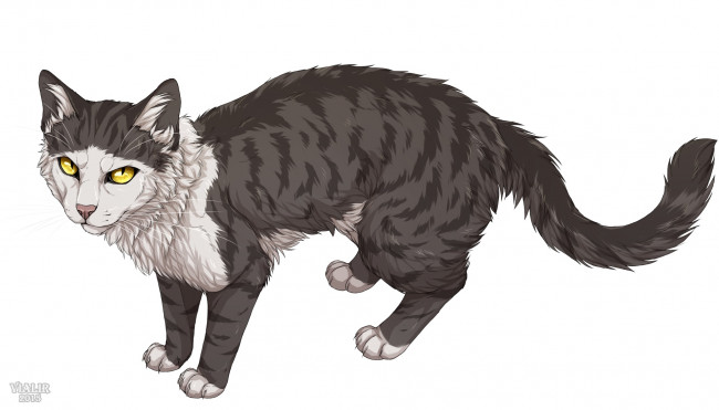 Обои картинки фото рисованное, животные,  коты, фон, взгляд, кот