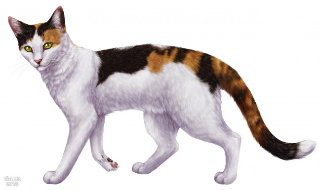 Обои картинки фото рисованное, животные,  коты, кошка, фон