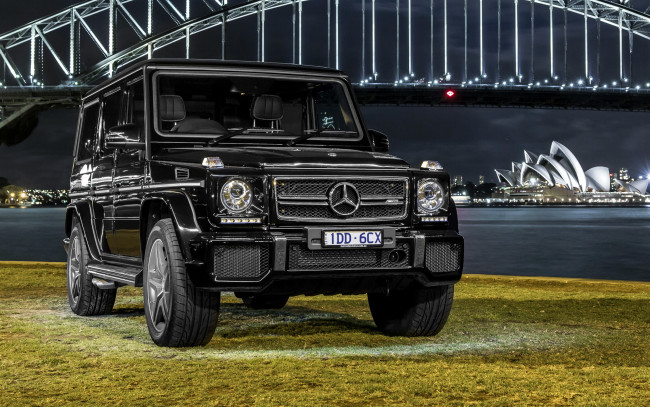 Обои картинки фото автомобили, mercedes-benz, амг, мерседес, w463, g-class, amg