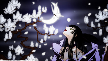 Картинка аниме tsubasa+reservoir+chronicles фон взгляд девушка