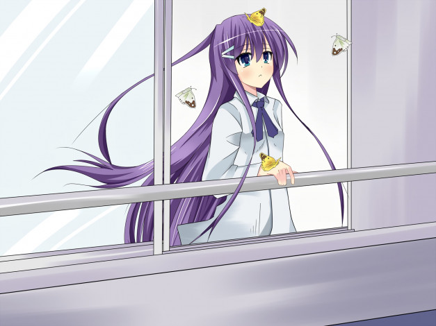 Обои картинки фото аниме, hanbun no tsuki ga noboru sora, девушка, фон, взгляд