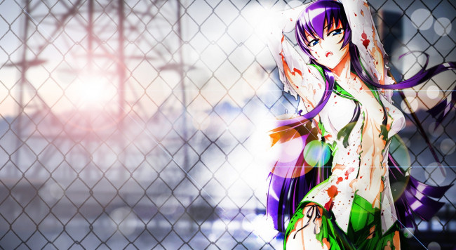 Обои картинки фото аниме, highschool of the dead, девушка, персонаж, решетка, забор, кровь