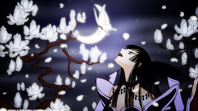 Обои картинки фото аниме, tsubasa reservoir chronicles, фон, взгляд, девушка