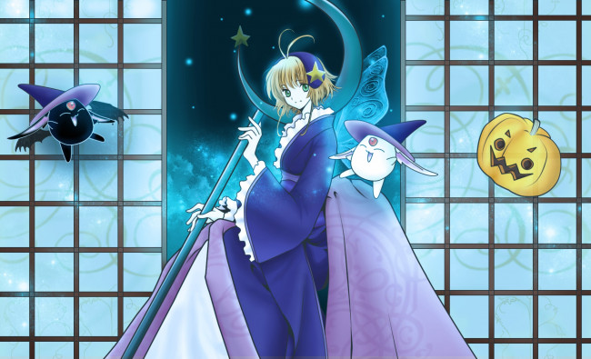 Обои картинки фото аниме, tsubasa reservoir chronicles, фон, взгляд, девушка