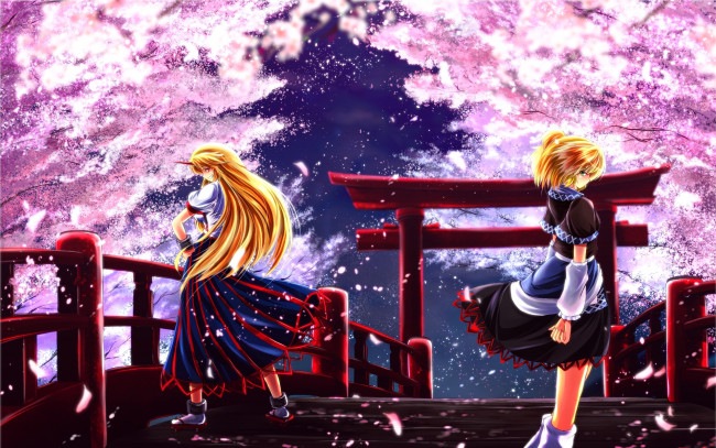 Обои картинки фото аниме, touhou, фон, взгляд, девушки