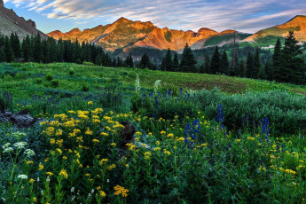 Картинка природа луга простор