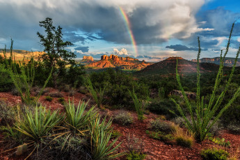 Картинка природа пустыни простор