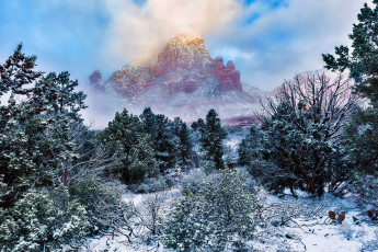 Картинка природа зима простор