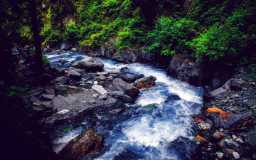 Картинка природа реки озера камни река горная