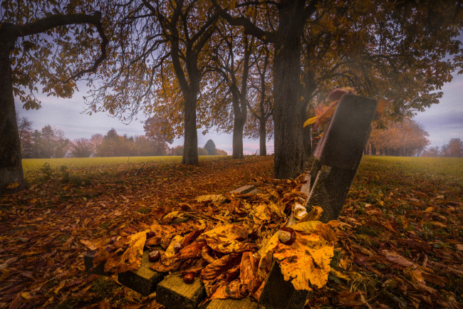 Обои картинки фото природа, другое, парк, австрия, скамейка, каштаны, деревья, листья, листва, austria, аллея, каштановая, bad, wimsbach-neydharting, бад-вимсбах-найдхартинг, осень