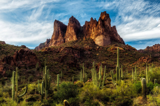 Обои картинки фото природа, пустыни, простор