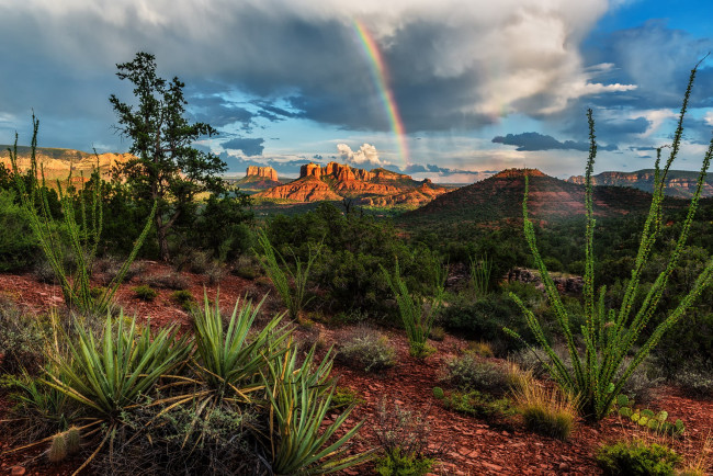 Обои картинки фото природа, пустыни, простор