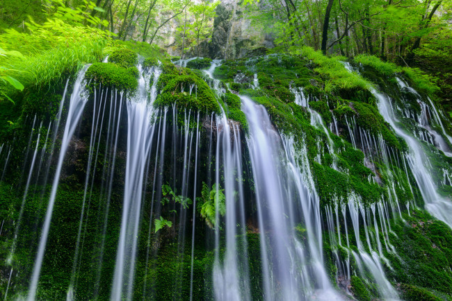 Обои картинки фото природа, водопады, водопад, вода, камни, мох, растительность