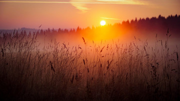 Картинка природа восходы закаты простор