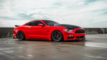 Картинка автомобили mustang ford
