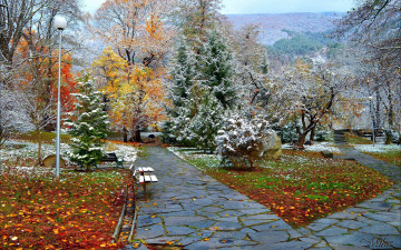 Картинка природа парк аллеи деревья листья иней