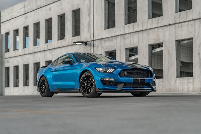 Обои картинки фото автомобили, mustang