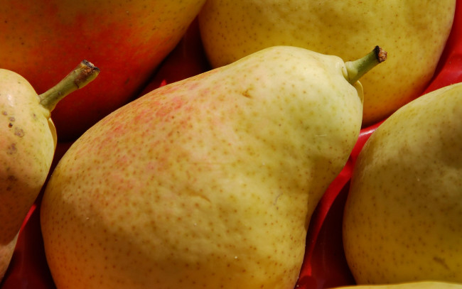 Обои картинки фото еда, груши, фрукты, спелые, макро