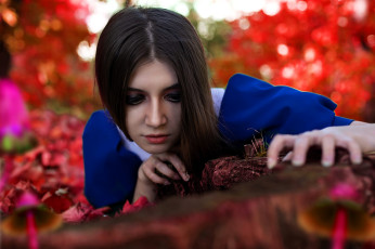 Картинка девушки tomka+violea образ косплей наряд костюм платье алиса грибы осень листья коряга