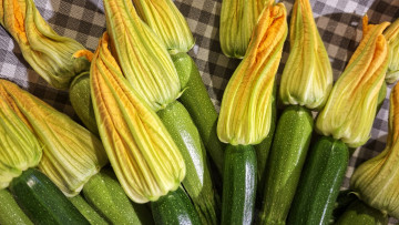 обоя еда, кабачки,  цуккини,  патиссоны, цукини